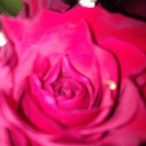 Meet your Posher, Tamika